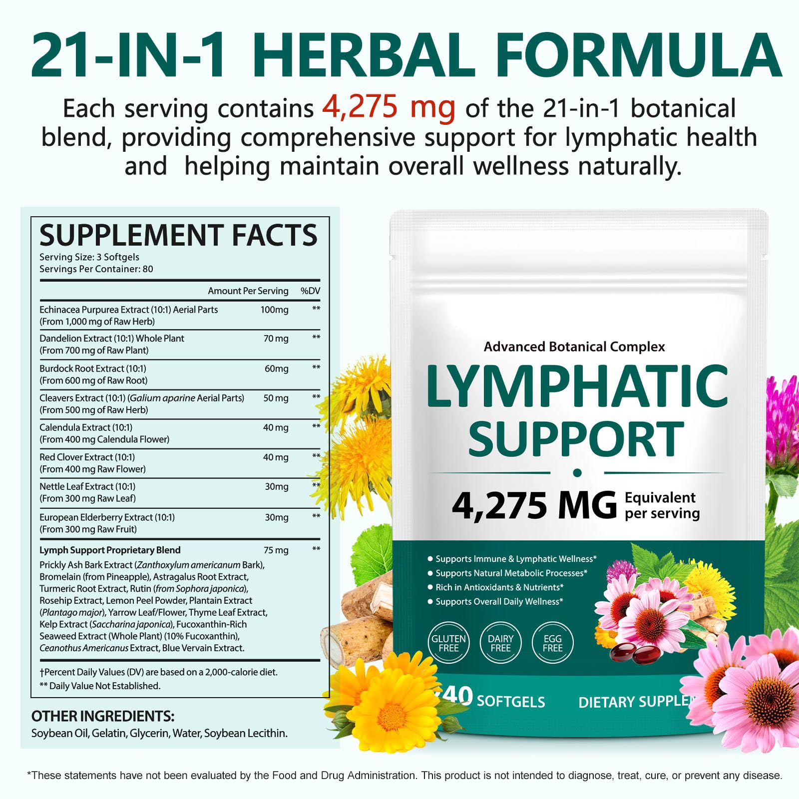 FANSHI Lymphatic Drainage Supplements 240 Softgels | Herbal Blend with Echinacea, Dandelion & Burdock Root | Promotes Healthy Circulation & Fluid Balance | Supports Overall Daily Wellness - Maple Wellness Supplements
