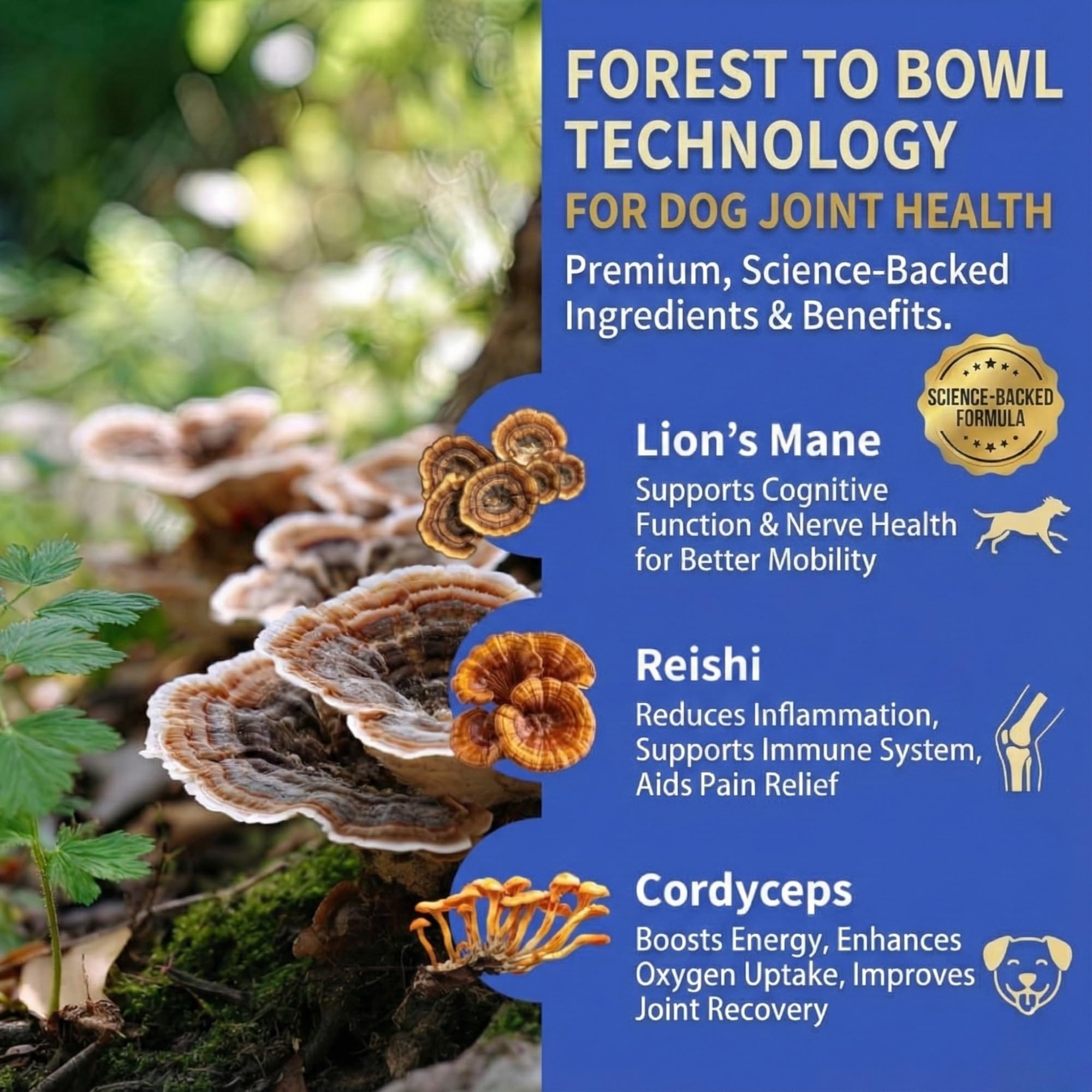Fifth & Fido Joint Supplement for Dogs - Glucosamine for Dogs - Pet Vitamins and Supplements Powder with Chondroitin & MSM - Hip & Joint Support for Mobility, Stiffness & Flexibility - Mushroom Blend - TrustMedUSA