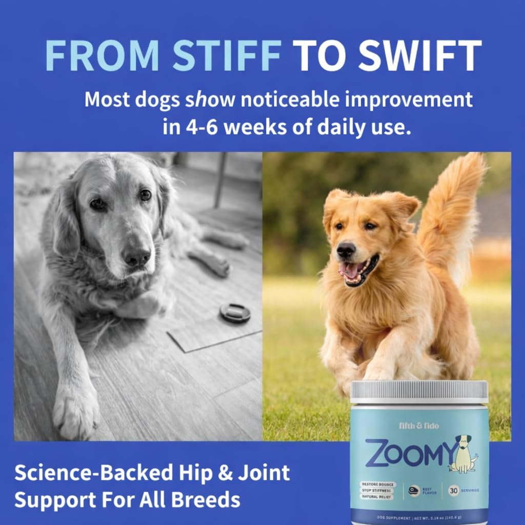 Fifth & Fido Joint Supplement for Dogs - Glucosamine for Dogs - Pet Vitamins and Supplements Powder with Chondroitin & MSM - Hip & Joint Support for Mobility, Stiffness & Flexibility - Mushroom Blend - TrustMedUSA
