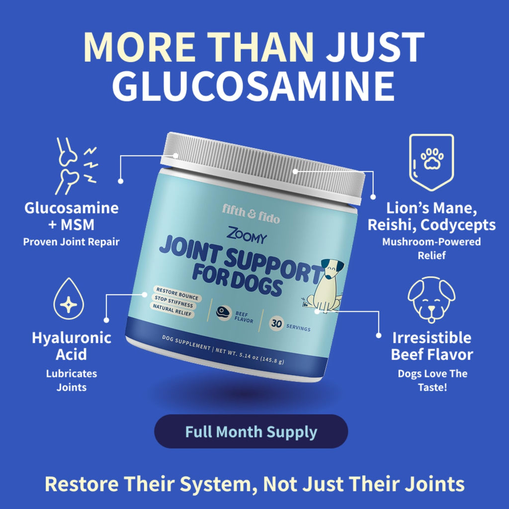 Fifth & Fido Joint Supplement for Dogs - Glucosamine for Dogs - Pet Vitamins and Supplements Powder with Chondroitin & MSM - Hip & Joint Support for Mobility, Stiffness & Flexibility - Mushroom Blend - TrustMedUSA