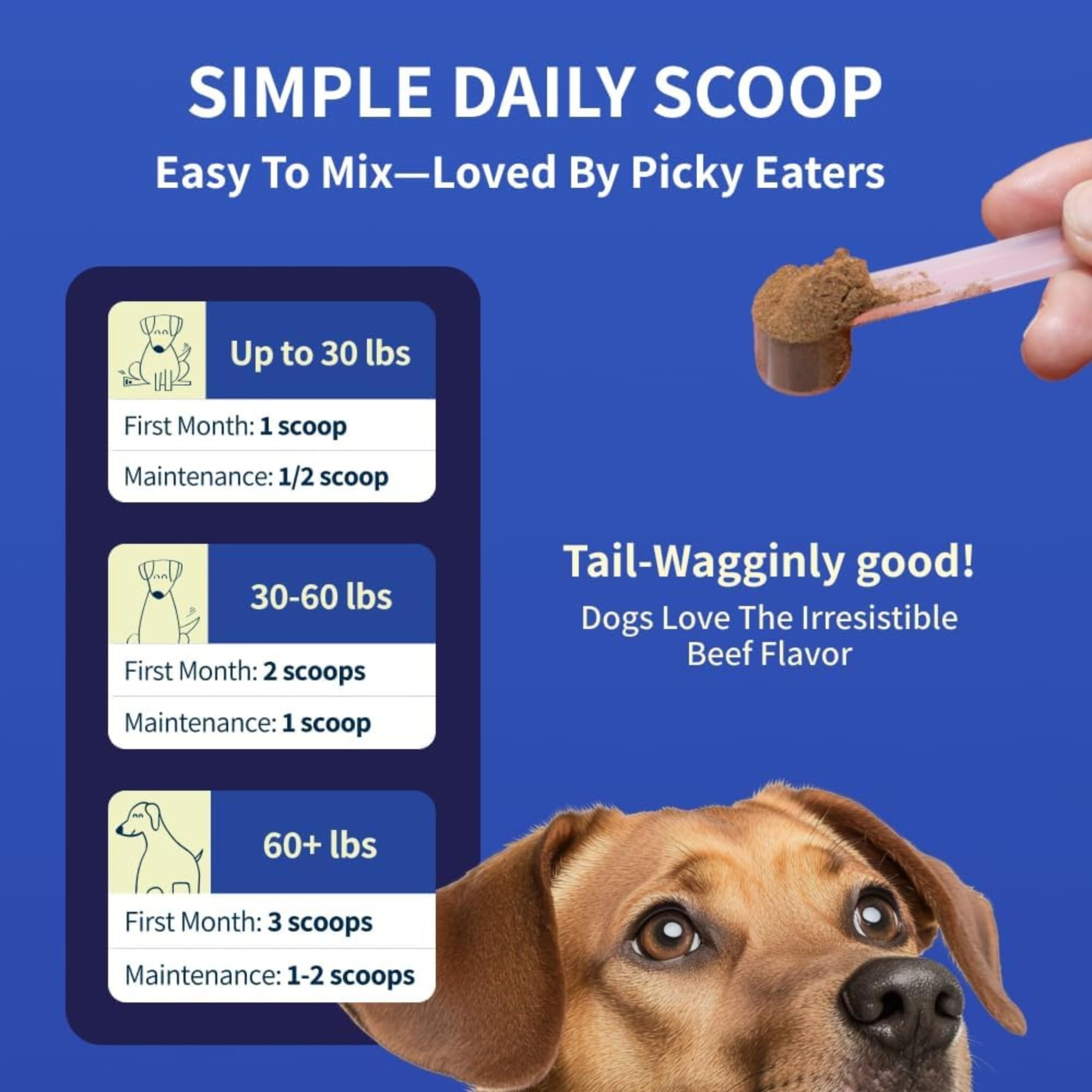 Fifth & Fido Joint Supplement for Dogs - Glucosamine for Dogs - Pet Vitamins and Supplements Powder with Chondroitin & MSM - Hip & Joint Support for Mobility, Stiffness & Flexibility - Mushroom Blend - TrustMedUSA