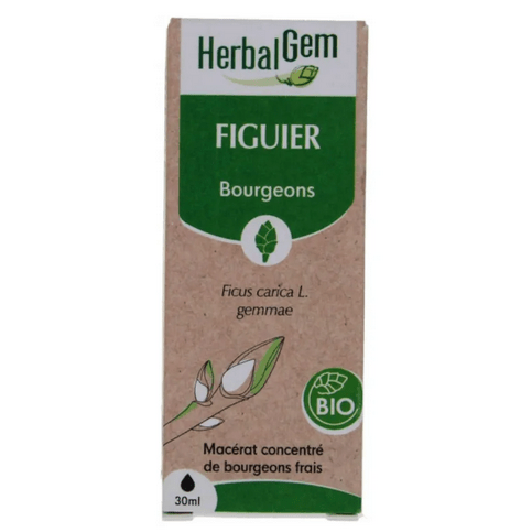 Figuier BIO Macérat mère bourgeons Flacon 30 ml HERBALGEM - TrustMedUSA