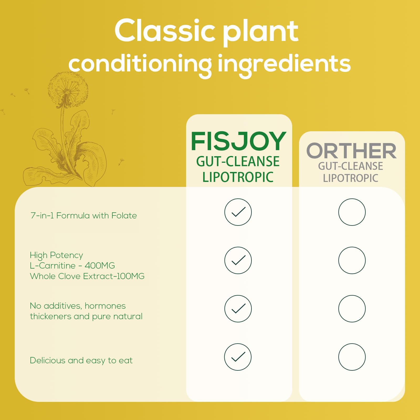 Fisjoy L-Carnitine & Herbal Liquid Drops – Gentle Daily Digestive Support with Pumpkin Seed, Clove & PAU D’Arco Extracts, Folate & Chromium, Vegan, Sugar-Free, 2 fl oz (60 mL) - TrustMedUSA