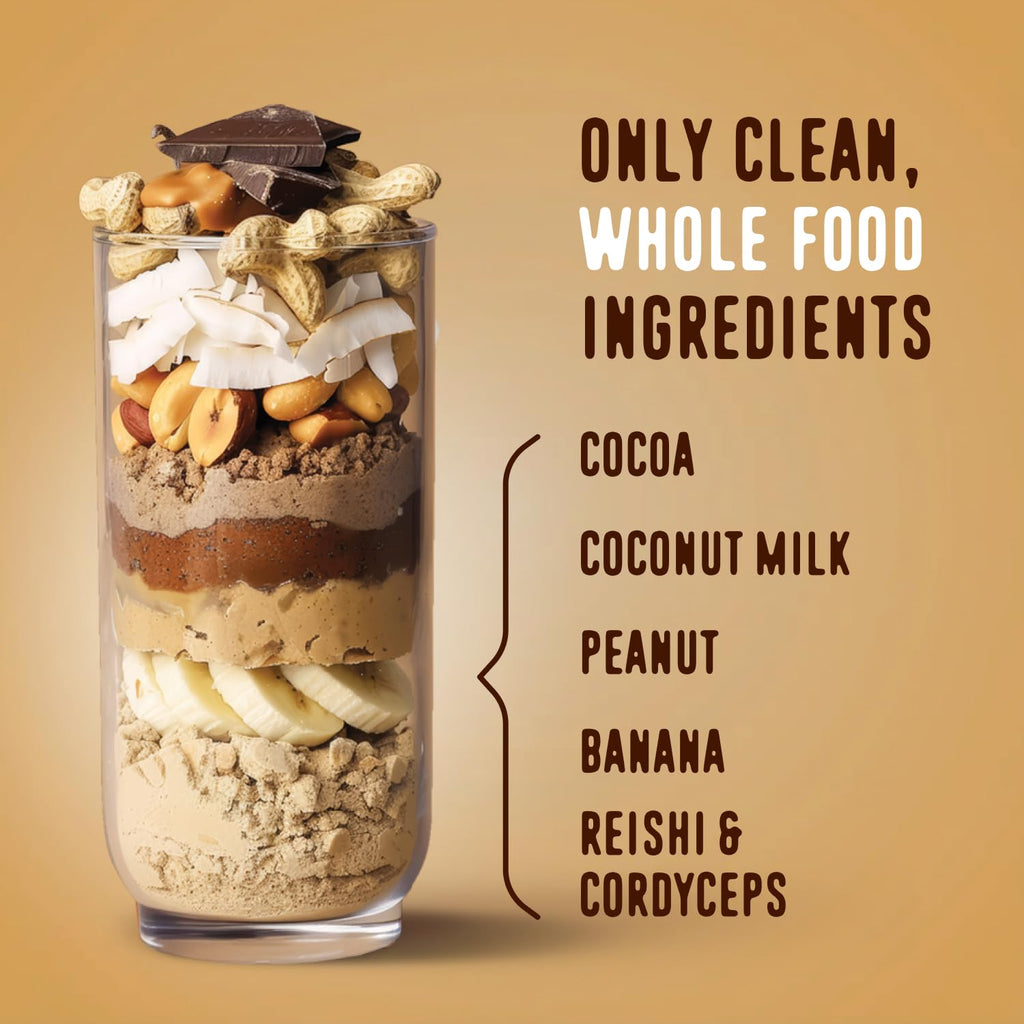 FlavCity Grass Fed Whey Chocolate Protein Powder - Chocolate Peanut Butter - 25g Protein & 10g Collagen - Made with Organic Cocoa & Coconut Milk - Gluten Free & No Added Sugars (20 Servings) - Maple Wellness Supplements