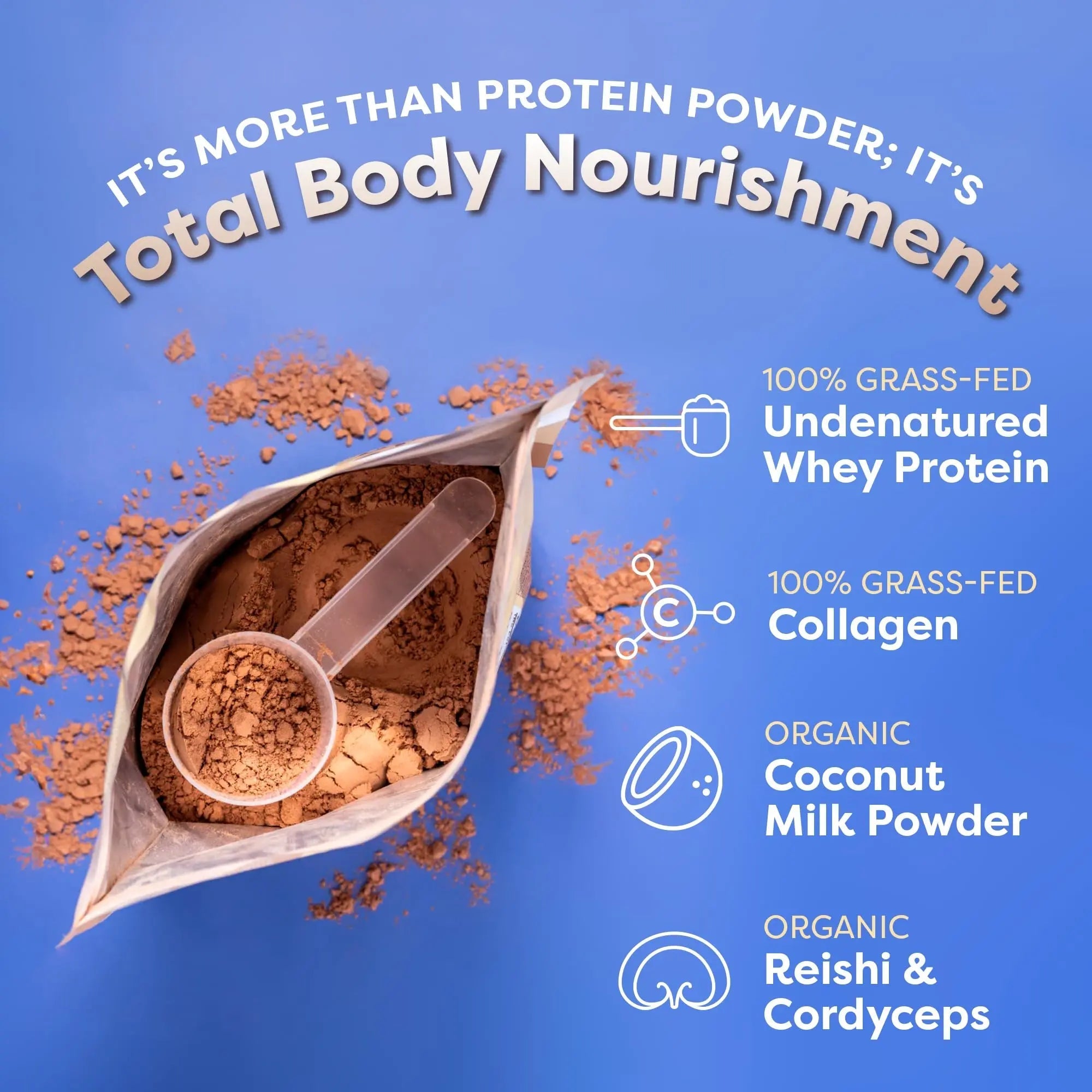 FlavCity Protein Powder Smoothie, Chocolate Peanut Butter - 100% Grass-Fed Whey Pro - TrustMedUSA