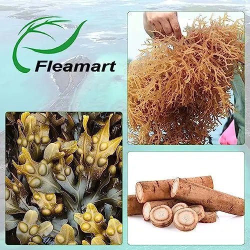 Fleamart 2 Pack Irish Sea Moss Capsules 120ct Raw Organic Sea Moss Wildcrafted Bladder - TrustMedUSA