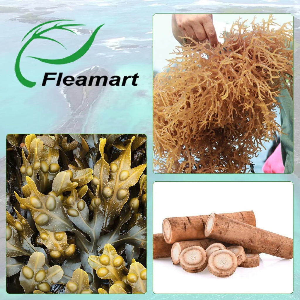 Fleamart Irish Sea Moss Capsules 120ct Raw Organic Sea Moss Wildcrafted Bladderwrack - TrustMedUSA