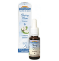 Fleur de Bach BIO Cherry Plum (Prunus) Flacon 20 ml BIOFLORAL - TrustMedUSA