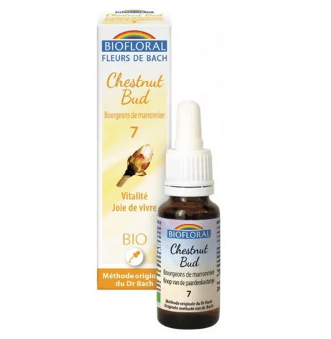 Fleur de Bach BIO Chestnut Bud (Bourgeons maronnier) Flacon 20 ml BIOFLORAL - TrustMedUSA