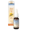 Fleur de Bach BIO Gorse (Ajonc) Flacon 20 ml BIOFLORAL - TrustMedUSA