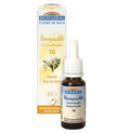 Fleur de Bach BIO Honeysuckle (Chèvrefeuille) Flacon 20 ml BIOFLORAL - TrustMedUSA