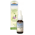 Fleur de Bach BIO Impatiens (Impatience) Flacon 20 ml BIOFLORAL - TrustMedUSA