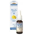 Fleur de Bach BIO Mimulus (Mimule) Flacon 20 ml BIOFLORAL - TrustMedUSA