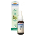 Fleur de Bach BIO Oak (Chêne) Flacon 20 ml BIOFLORAL - TrustMedUSA
