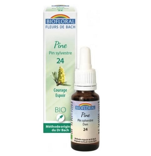 Fleur de Bach BIO Pine (Pin sylvestre) Flacon 20 ml BIOFLORAL - TrustMedUSA