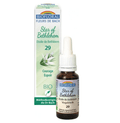 Fleur de Bach BIO Star of Bethlehem (Etoile de Bethlehem) Flacon 20 ml BIOFLORAL - TrustMedUSA