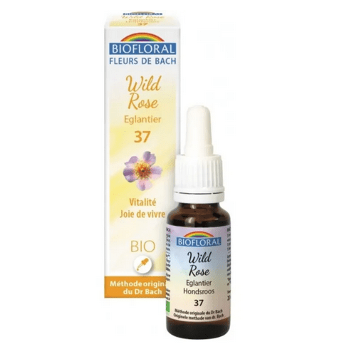 Fleur de Bach BIO Wild rose (Églantier) Flacon 20 ml BIOFLORAL - TrustMedUSA
