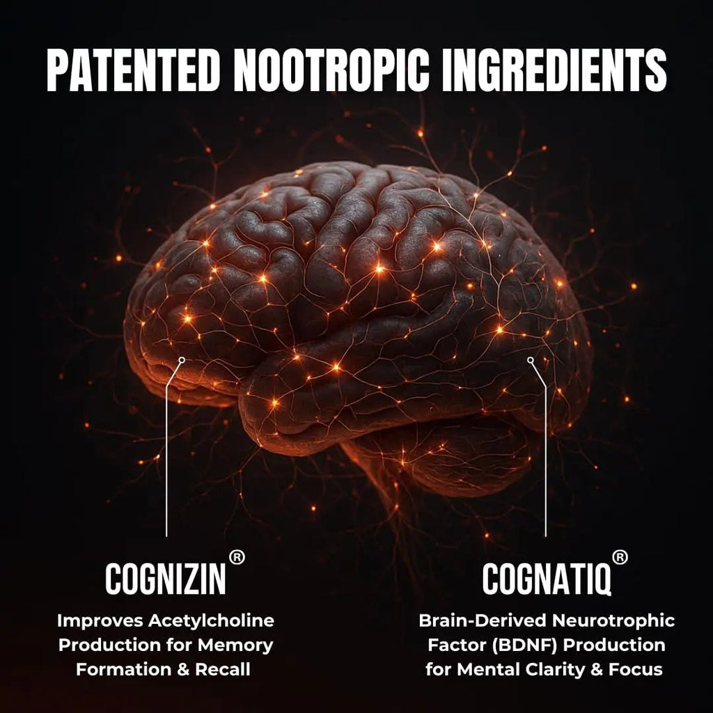 FOCUS + THINK Nootropic Brain Supplement Bundle - Energy, Memory & Focus Support - Caffeine + Caffeine-Free Cognitive Stack with Lion's Mane, Bacopa, Citicoline & L-Theanine - 2 Bottles (90 + 90 Capsu - TrustMedUSA