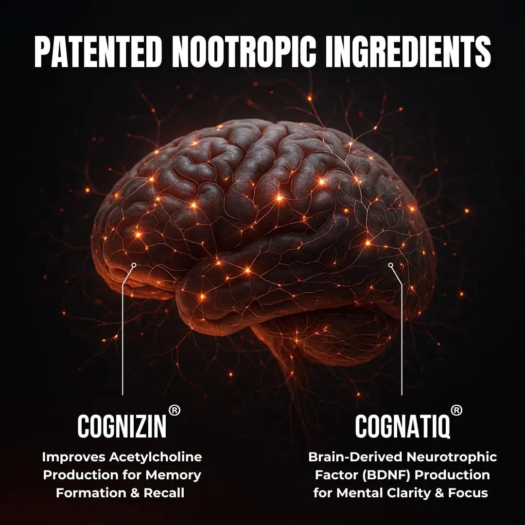 FOCUS + THINK Nootropic Brain Supplement Bundle - Energy, Memory & Focus Support - Caffeine + Caffeine-Free Cognitive Stack with Lion's Mane, Bacopa, Citicoline & L-Theanine - 2 Bottles (90 + 90 Capsu - TrustMedUSA