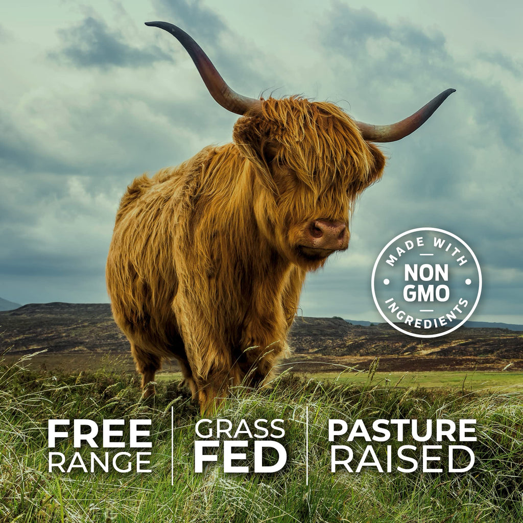 ForestLeaf Beef Organ Supplement - Grass Fed & Pasture Raised - Total Body Wellness & Performance, Organ Complex with 3000mg of Desiccated Beef Liver, - TrustMedUSA