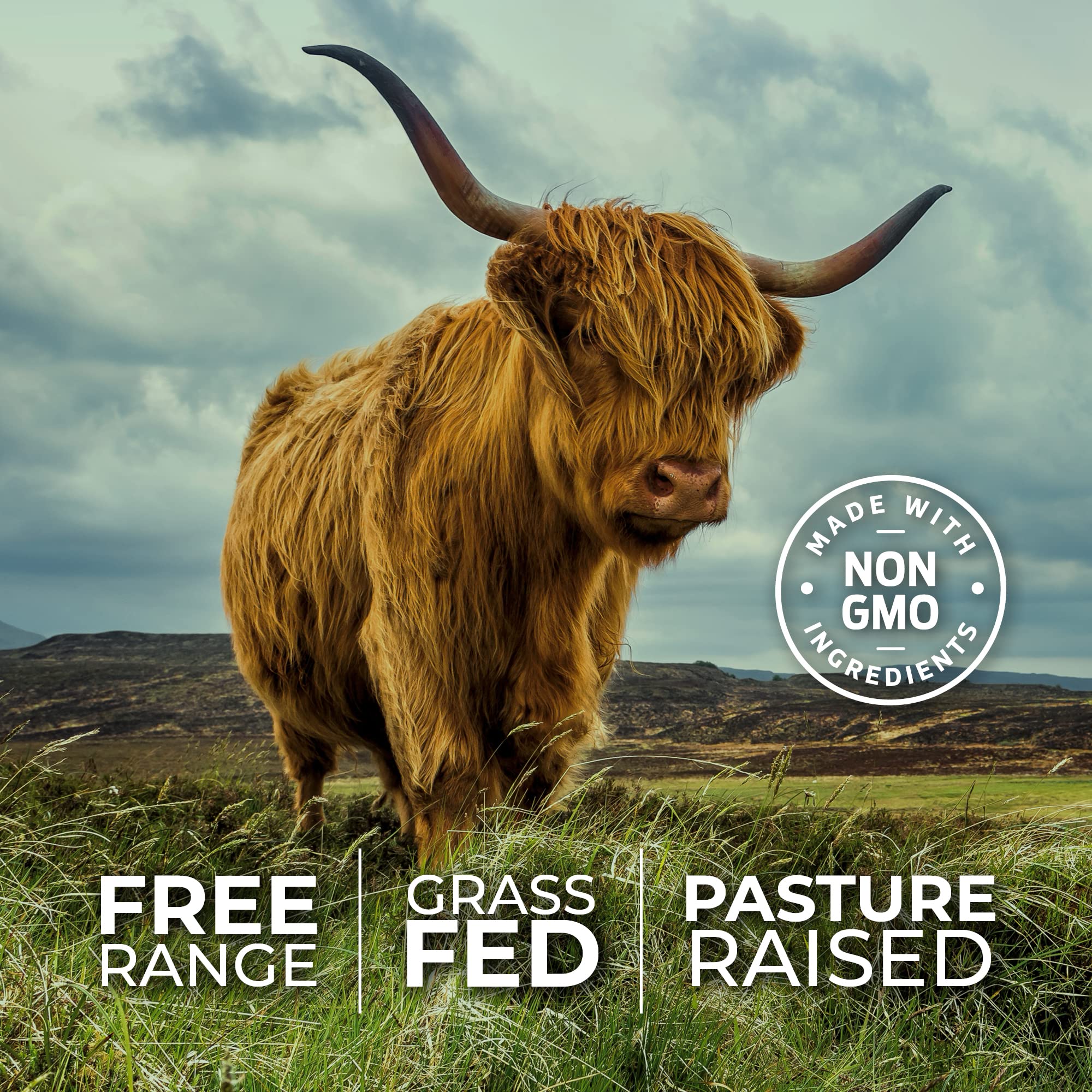 ForestLeaf Beef Organ Supplement - Grass Fed & Pasture Raised - Total Body Wellness & Performance, Organ Complex with 3000mg of Desiccated Beef Liver, - TrustMedUSA