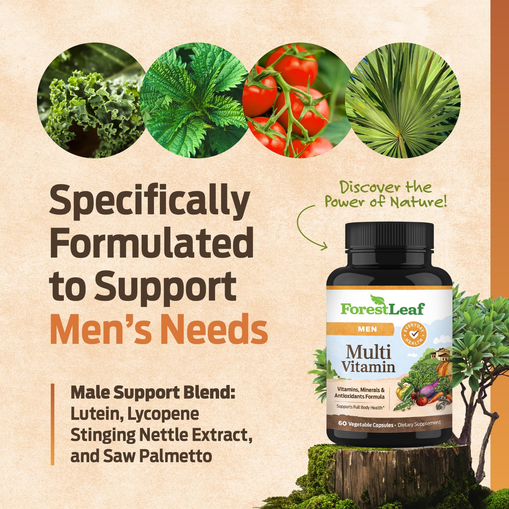 ForestLeaf Daily Vitamin Multivitamin for Men, Multi-Vitamin for Men - Mens Multivitamins & Multiminerals Supplement | All Essential Vitamins Needed for Health, Longevity & Energy | 60 Veg Caps - TrustMedUSA