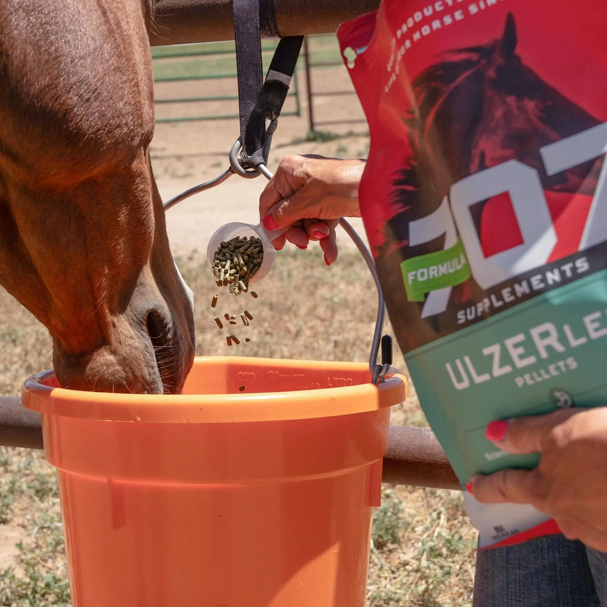 Formula 707 ULZERless Equine Supplement, 7.5lb Bag - Natural Gut Support for Horses with Ulcer Risk Factors - TrustMedUSA
