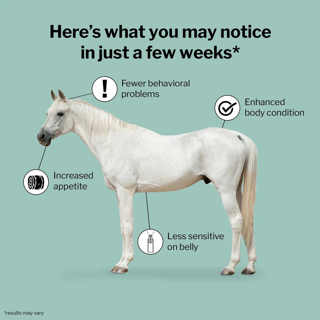 Formula 707 ULZERless Equine Supplement, 7.5lb Bag - Natural Gut Support for Horses with Ulcer Risk Factors - TrustMedUSA