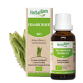 Framboisier BIO Macérat mère Bourgeons Flacon 30 ml HERBALGEM - TrustMedUSA