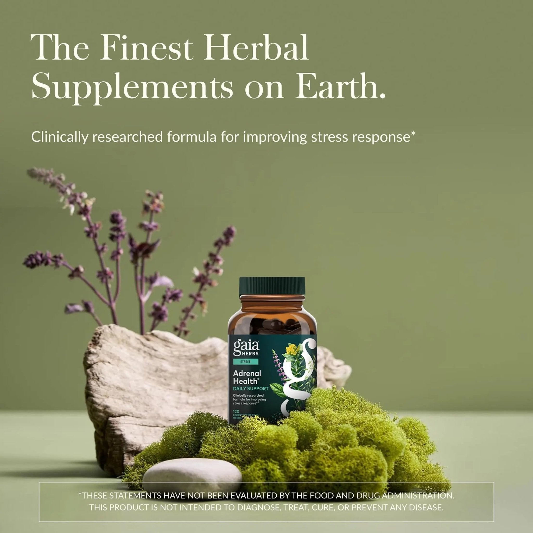 Gaia Herbs Adrenal Health Daily Support, Help Maintain Healthy Energy & Stress Levels*,120 Liquid Phyto-Caps Adrenal Health Nightly Restore, 120 Liquid Phyto-Caps - Bundle - TrustMedUSA
