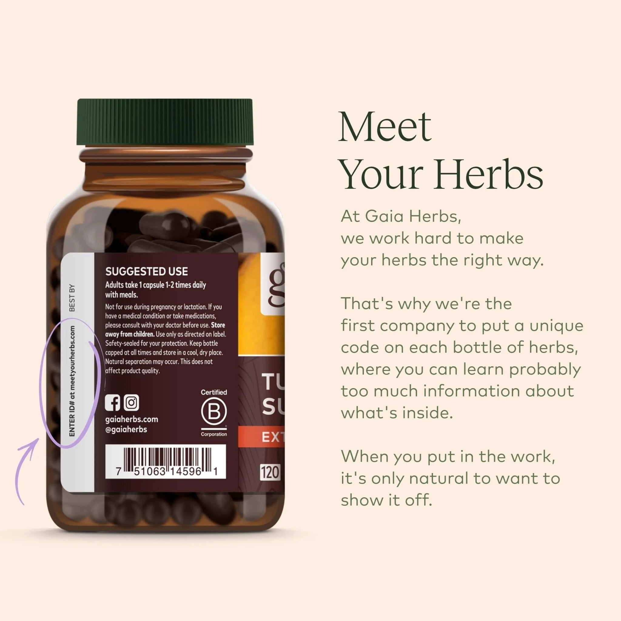 Gaia Herbs Organic Lion’s Mane Mushroom - Brain and Nerve Support Supplement - TrustMedUSA