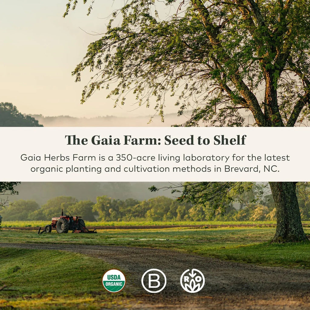 Gaia Herbs Organic Lion’s Mane Mushroom - Brain and Nerve Support Supplement - TrustMedUSA
