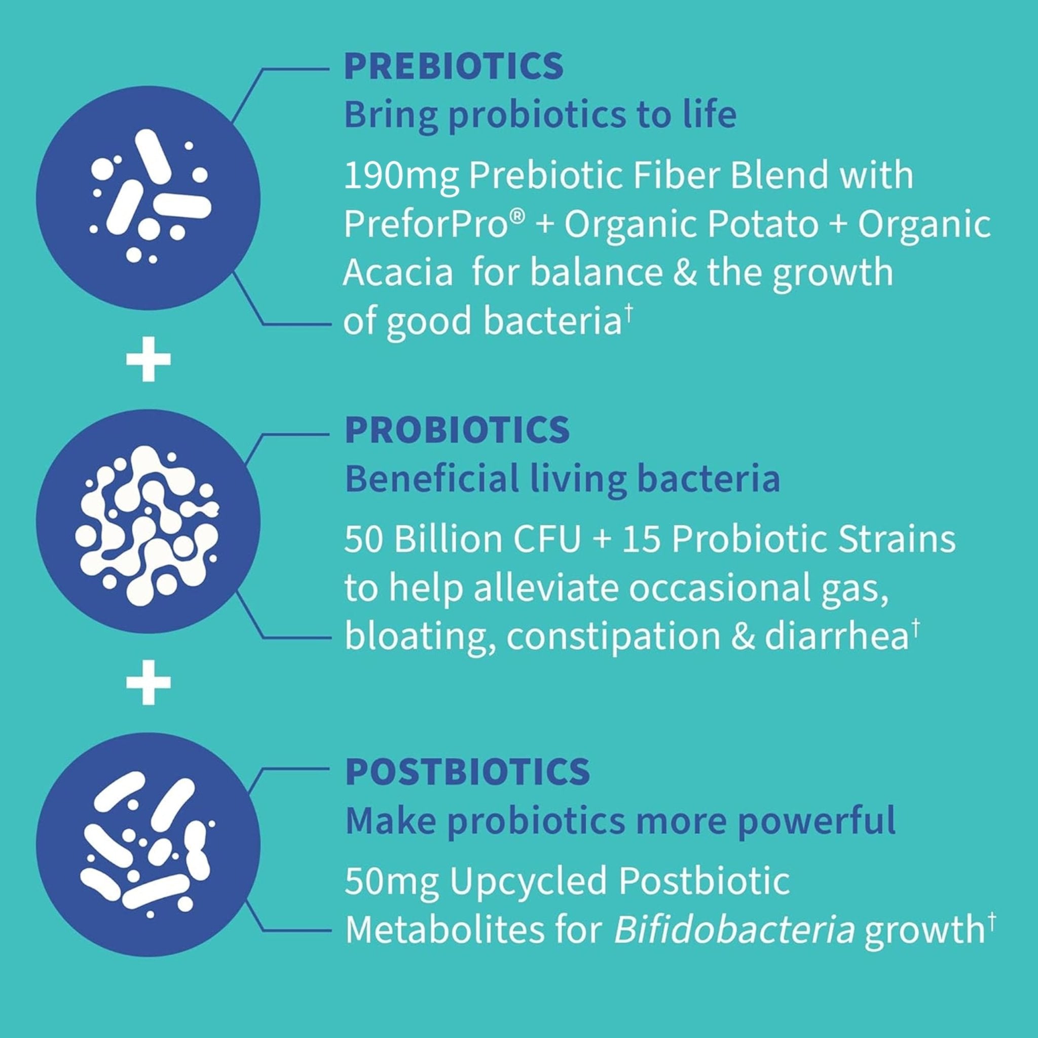 Garden of Life Dr. Formulated Pre, Post & Probiotics Gas & Bloating Once Daily 3-in-1 Complete Prebiotics, Postbiotics & Probiotics – 50 Billion CFU, Non-GMO, Gluten-Free, 30 Day Supply - Maple Wellness Supplements
