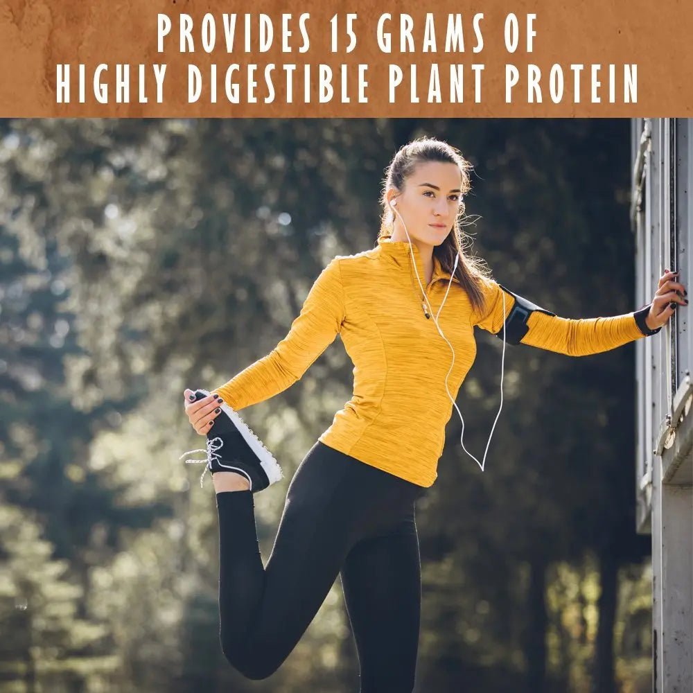 Garden of Life Organic Plant Protein Smooth Chocolate Powder, 10 Servings - Vegan, Grain - TrustMedUSA