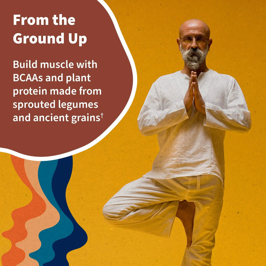 Garden of Life, Organic Vegan Vanilla Chai Protein Powder -22g Complete Plant Based Raw - TrustMedUSA