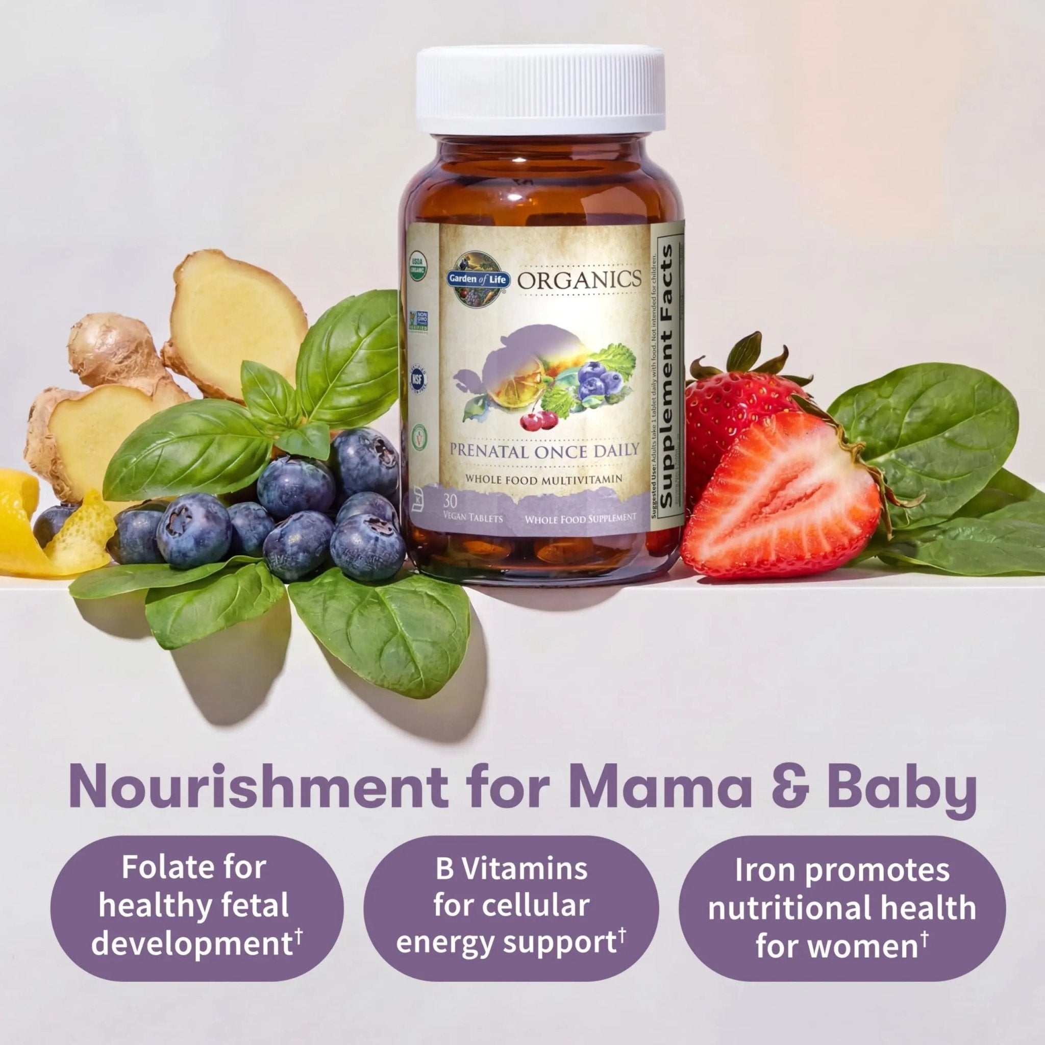 Garden of Life Organics Prenatal Vitamin: Folate for Energy & Healthy Fetal Development, Non-constipating Iron, Vitamin C, B6, B12, D3 – Organic, Non-GMO, Gluten-Free, Vegan, 30 Day Supply - TrustMedUSA