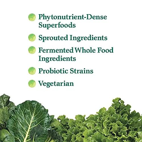 Garden of Life Perfect Food Super Green Formula - 14 Servings | 45 Superfoods, Greens - TrustMedUSA