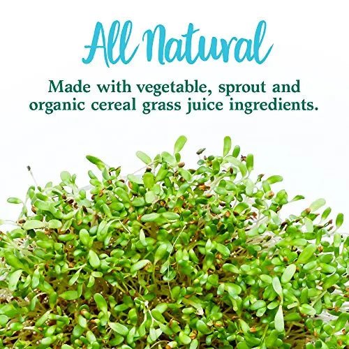 Garden of Life Perfect Food Super Green Formula - 14 Servings | 45 Superfoods, Greens - TrustMedUSA