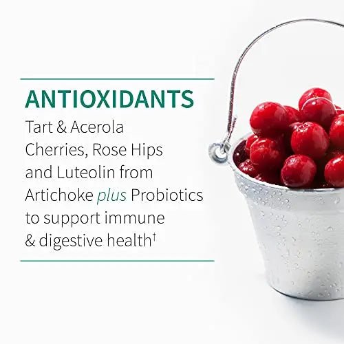 Garden of Life Quercetin Once Daily Immune System Support - TrustMedUSA