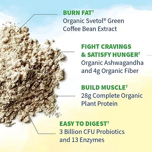 Garden of Life Raw Organic Fit Vegan Protein Powder Original, 28g Plant Based Protein - TrustMedUSA