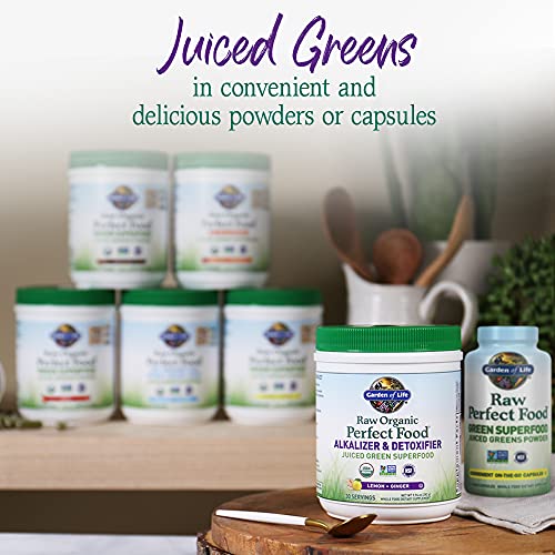 Garden of Life Raw Organic Perfect Food Alkalizer and Detoxifier, Lemon Ginger Flavored Superfood Powder Supplement, 30 Servings - TrustMedUSA