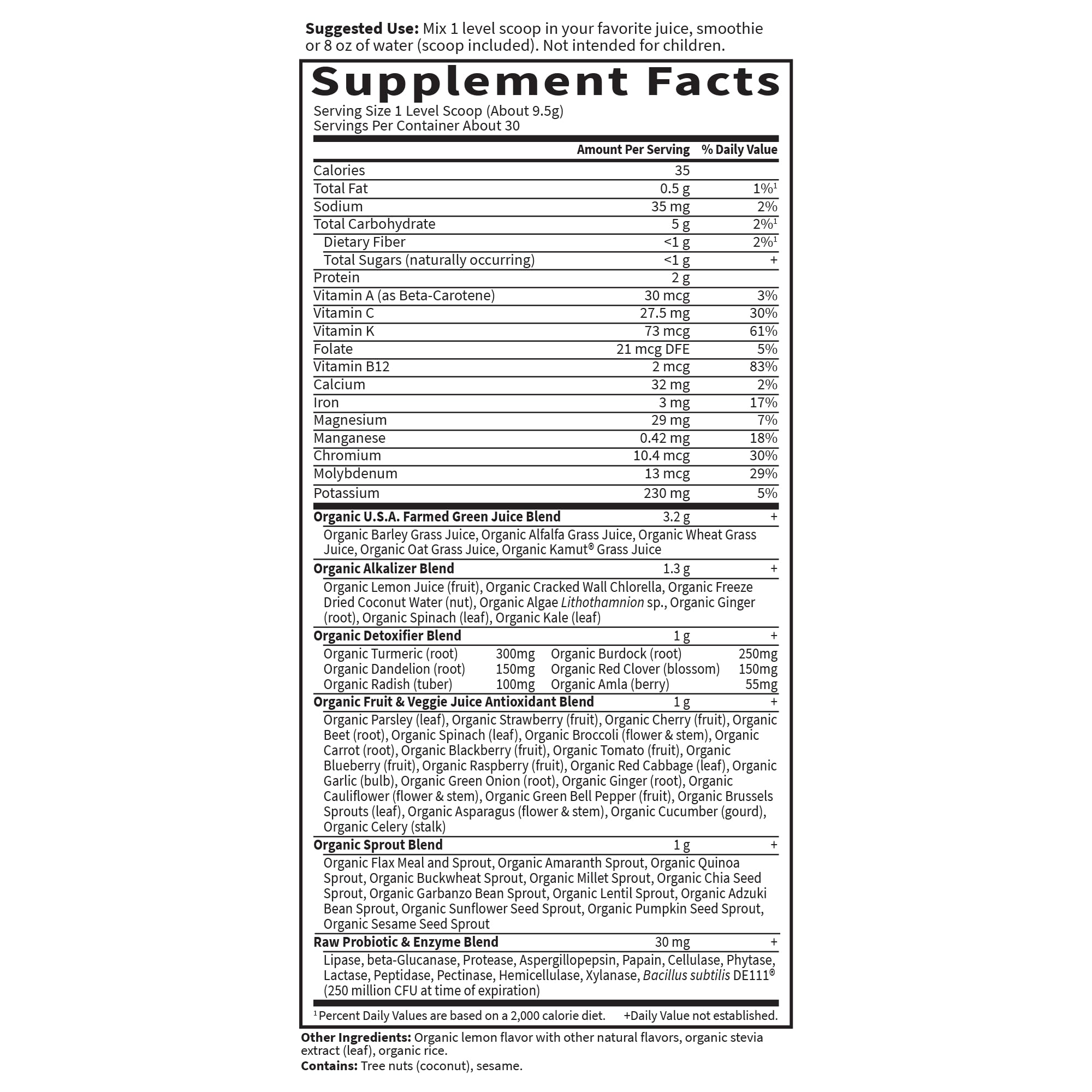 Garden of Life Raw Organic Perfect Food Alkalizer and Detoxifier, Lemon Ginger Flavored Superfood Powder Supplement, 30 Servings - TrustMedUSA