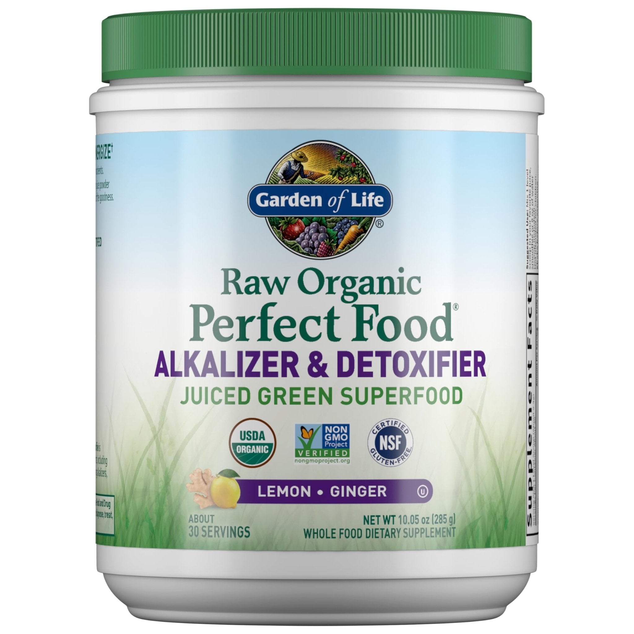 Garden of Life Raw Organic Perfect Food Alkalizer and Detoxifier, Lemon Ginger Flavored Superfood Powder Supplement, 30 Servings - TrustMedUSA