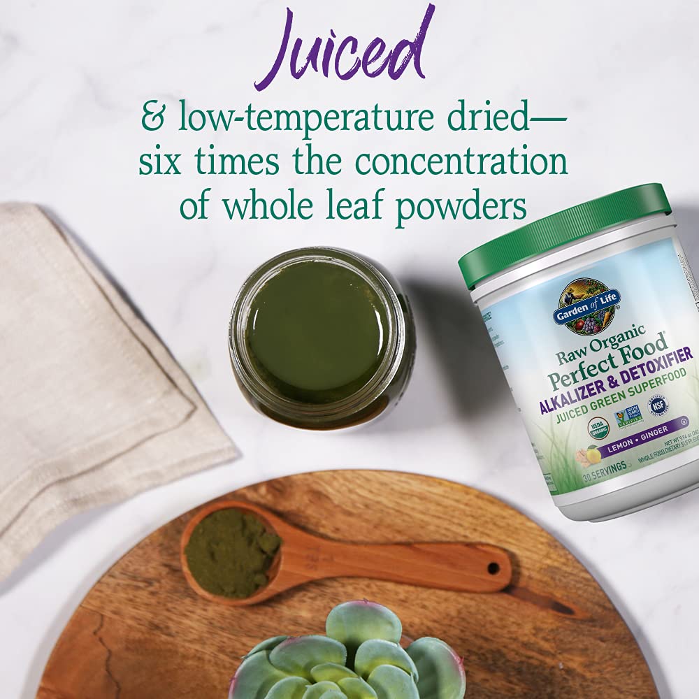 Garden of Life Raw Organic Perfect Food Alkalizer and Detoxifier, Lemon Ginger Flavored Superfood Powder Supplement, 30 Servings - TrustMedUSA