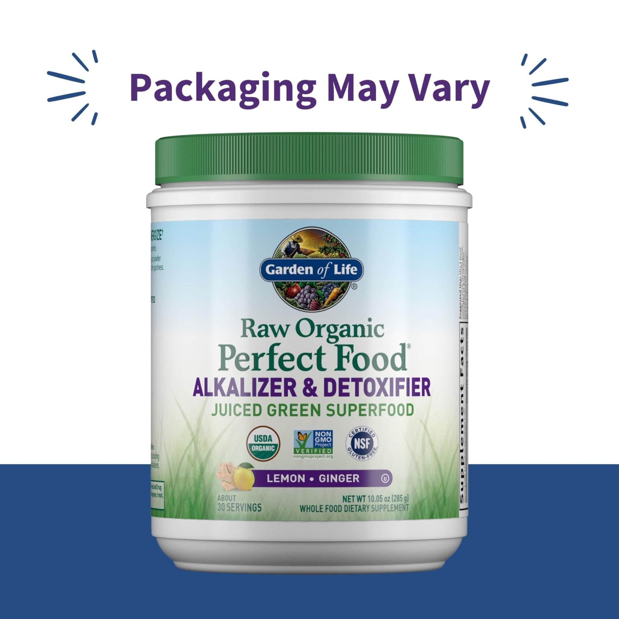 Garden of Life Raw Organic Perfect Food Alkalizer and Detoxifier, Lemon Ginger Flavored Superfood Powder Supplement, 30 Servings - TrustMedUSA