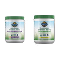 Garden of Life Raw Organic Perfect Food Alkalizer & Detoxifier Juiced Greens Superfood - TrustMedUSA
