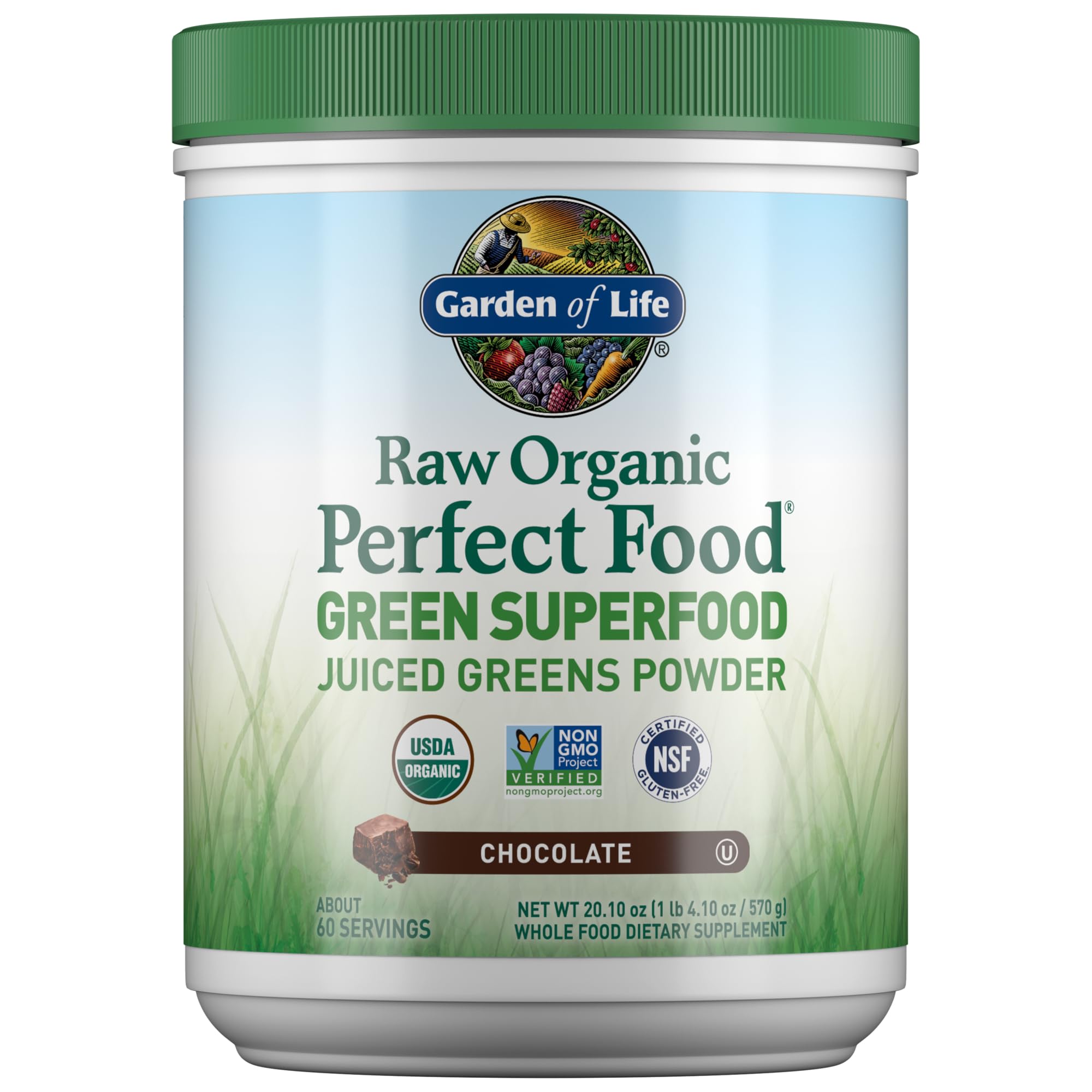 Garden of Life Raw Organic Perfect Food Green Superfood Juiced Greens Powder - Chocolate, 60 Servings, Non-GMO, Gluten Free, Vegan Whole Food Dietary Supplement Plus Probiotics, Enzymes - TrustMedUSA