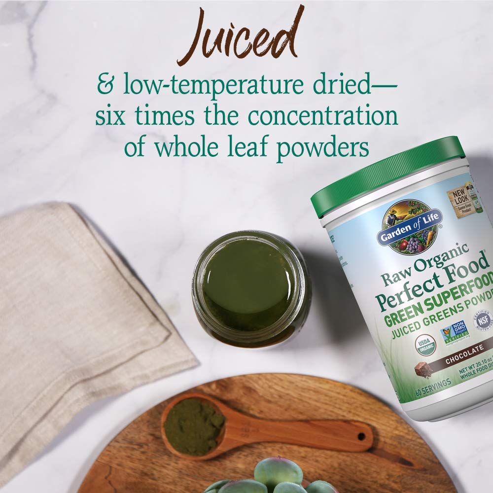 Garden of Life Raw Organic Perfect Food Green Superfood Juiced Greens Powder - Chocolate, 60 Servings, Non-GMO, Gluten Free, Vegan Whole Food Dietary Supplement Plus Probiotics, Enzymes - TrustMedUSA