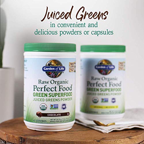 Garden of Life Raw Organic Perfect Food Green Superfood Juiced Greens Powder - Chocolate, 60 Servings, Non-GMO, Gluten Free, Vegan Whole Food Dietary Supplement Plus Probiotics, Enzymes - TrustMedUSA