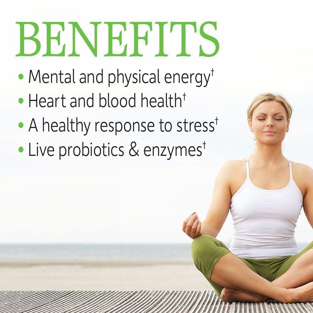 Garden of Life Vitamin B Complex, 120 Vegan Capsules, High Potency Vitamins for Energy & Metabolism with B6, Folate & B12 as Methylcobalamin Plus Probiotics - Maple Wellness Supplements